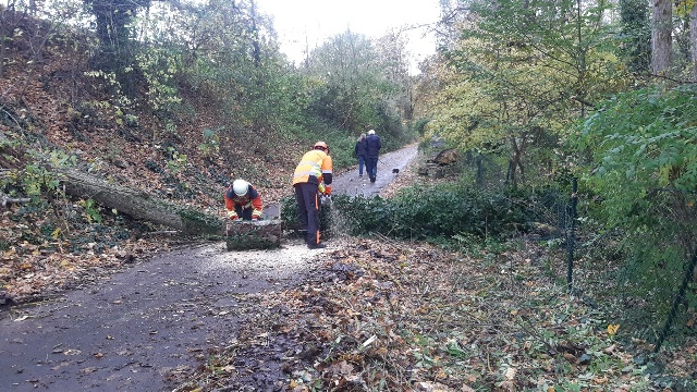 20231105_132529_resized groß.jpg